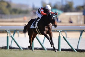 �y�V�n/����5R�z�g���C���C�g�V�e�B���f�r���[V�c�h�[�u�l�����2��