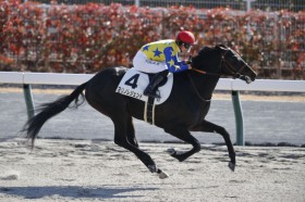 �y�V�n/����4R�z�_�m�����W�F���h�Y�� �����m���W�F���h���f�r���[V