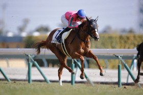 �y�V�n/����5R�z�ǌ��Z�i�X�^�C�����f�r���[V�c��̓k�[���H���R���g