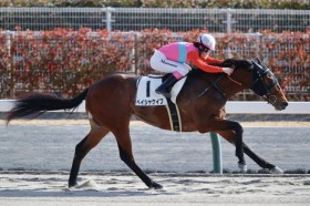 �y����6R�z�i���܂Ȃ݂�2025�������c�Ō������œ����P