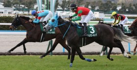 �y���q�ĔnS�z�O���A�����u��������[�I�v�t�F�A�G�[�����O�A�V���e�B���[�V��������V