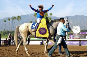 �y�C�O���n�z�z���C�g�A�o���I������V�c�ăy�K�T�X���[���h�J�b�v