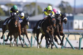 �y�V�n/����5R�z7�Ԑl�C�̕������E���x�A���f�r���[V