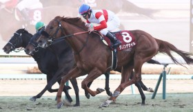 �yAJCC�z�ˍ�u�����͗V�їV�тȕ��͋C���v�_�m���f�T�C���ј\�̏���