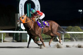 �y����E�Ԑ���܁z�v���~�A���J�C���h��V�c1�Ԑl�C�n�N�A�C�A�V�X�g�Ƃ̈�R�ł�