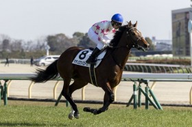 �y�V�n/����5R�z�}�e�����E�I���I������E�}�e�����E�o���[�Y���f�r���[V