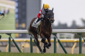 �y�V�n/����5R�z2���~�z�[�X�E�_�m���Z���`�����[���f�r���[V