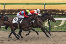 �y�V�n/����4R�z�T�g�m�A���W���Y�� �E�B�e�J�[�r�[�g���f�r���[V