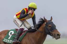 �y����S�z���R���u�����ǂ����̂������Ă���v�R�X�^�m���@�����ӂ̓����ŏd��V