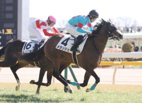 �y�V�n/����5R�z�X���[�����`���[�h�Y�� �������W�F���f�r���[V