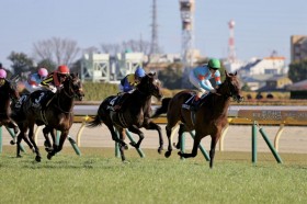 �y��肩���ߏ܁z�E�B�N�g���E�F���X��2�A��