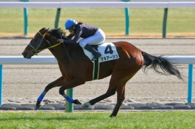 �y���s8R�z���є���R�肪�}�L�A�[�W���œ����؂�V