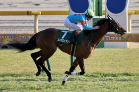 �y�N�C�[��C�z�G���u���C�_���[���d�܏����e�c�}�f�B�\���K�[���͐L�ѐ؂ꂸ