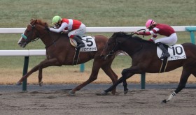 �y�V�n/���s2R�z�ǌ��V���E�i���T�G�b�^���f�r���[V