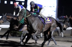 �y���m�E����ܗ[���܁z9�Ԑl�C�e�B�A�b�v�G�b�N�X��V�Ŕg���c�����m�z�m�I��2��