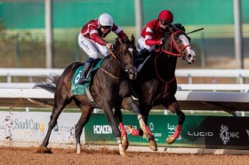 �y�T�E�W�_�[�r�[�z���{�̃V���t�H�[�G�o�[�������S���2���cUAE�̃S�[���f�����F�R�}��V