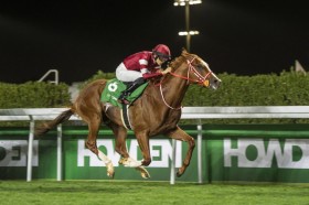 �y�l�I���^�[�t�J�b�v�z���{�̃V���G���y���[�������؂�c���L�A�����t�@�[��3��