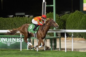 �y���b�h�V�[�^�[�tHC�z�}�[�t�B�[�R�� �r�U���`���h���[�����N�₩�ȍ����؂�V