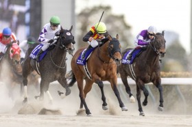 �y�t�F�u�����[S�z���C�`�F���E�L���O�R�� �R�X�^�m���@��V�c�����W���b�L�[����JRA���nG1���e