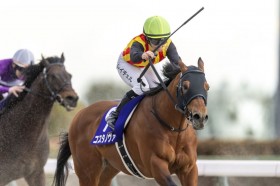 �y�t�F�u�����[S�z�L���O�R��u�������Ă��܂��v�c�R�X�^�m���@��V�Ől�n�Ƃ���G1�����e