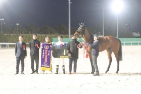 �y�����΂��L�O�z���[�h�t�H���X�����킩�甲���o���c��NV�̃T�����C�Y�z�[�N��2��