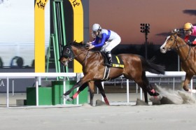 �y�����΂��L�O�z���R�a�u�悭�����ł��ꂽ�v���[�h�t�H���X���𗬏d�܏�V