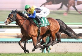 �y�I�[�V����S�z��c�u����Ƃ��̔n�炵���������Ƃ��o�����v�}�}�R�`�����v�X�d��V