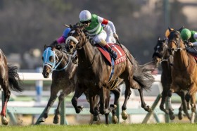 �y���R�L�O�z�V�b�N�X�y���X���S�[���O���P�I�c�����[���R��̑N�₩�Ȏ�j���΂�