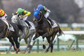 �y���R7R�z�M�R�ڐ�R�肪���[�L�[1�Ԑ��c���[���u�����A���g�Ńn�i��V