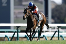 �y�p��S�z�ǌ��X�e�B���K�[�O���X���I�[�v������