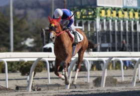 �y��苣�n�z�����������t���f�r���[�A�����4��