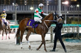 �y�_�C�I���C�g�L�O�z��NV�̃Z���t�B�b�N�R�[����8�g13�Ԃ�