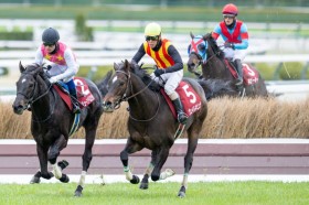 �y��_�X�v�����OJ�z���F�C���l�r��������Q�d�܏����e