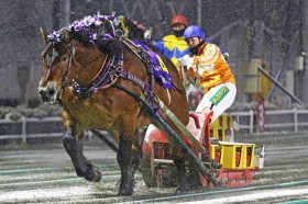 �y�΂񂦂��L�O�z�n���ő��V�I�u�����Ȕn���Ɗ������c�������{�u�T�b�v���������Ď����܋�1���~��˔j