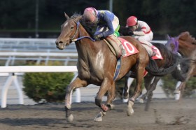 �y���m�E�������ʁz4�p��4�������n�̔g���c���[�X�̓t�N�`�����L���O��V