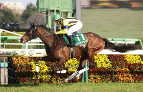 �y�t�����[C�z���[�[�h���}���d�܏����e�c�ˍ�\���R���JRA�ʎZ1600��