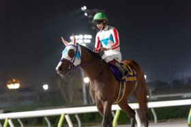 �y���l�u�z�ɓ��t�u�E���̕������i�ǂ����肪�o������ �v�𗬏d�܏�V�ł����_�[�g�N���V�b�N��