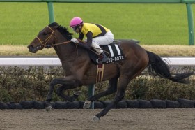 �y����S�z���N�\�[���J�t�F��4�A���c�����̑���