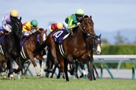 �y�����{�L�O�z�T�g�m���[����G1�����e�c�i�����N���A�͂܂����Ă�2��