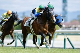 �y����6R�z�x�炫�ǌ��n���f�r���[2�A���c1�N8�����Ԃ�C���r�W�u���Z���t��V