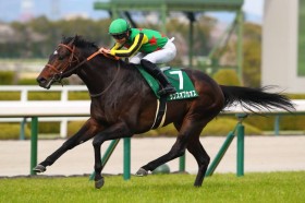 �y�`���[�`���_�E���YC�z�g�����V�����d�܏����e�c�����X�I�u�J�I�X�Ŕ����o��