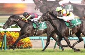 �y�_�[�r�[��CT�z�g�����@�g�[�����œ����P�I�d�܏����e