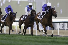 �y�h�o�C�S�[���h�J�b�v�z9�Δn�h�o�C�t���[�`���[�������o���c�_�C�����W���[�Y��_�u�����W���[��2��