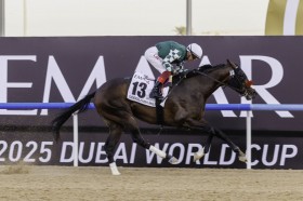 �y�S�h���t�B���}�C���z���{�̃J�Y�y�g�V�[����3���c�ă��C�W���O�g�����g��V