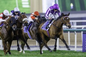 �y�A���N�I�[�c�X�v�����g�z�E�C���J�[�l���A�����ɂ���2���c�p�r���[���B���O��V