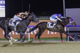 �yUAE�_�[�r�[�z���{�̃A�h�}�C���f�C�g�i����ڐ�𐧂���