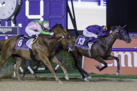 �y�h�o�C�S�[���f���V���q�[���z���{���Ő撅�̓N���W�V�W���[��4���c�����_�[�N�T�t������V