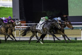 �y�h�o�C�^�[�t�z�\�E�����b�V�����S�[�����O�ō����؂�V�c���}���`�b�N�E�H���A�[��2��