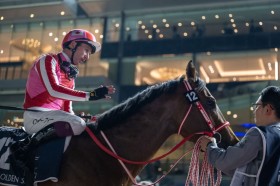 �y�h�o�C�S�[���f���V���q�[���z���t�u�f���炵���o���ɂȂ����v�A�����J���X�e�[�W�͔S����6��