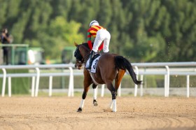 �y�S�h���t�B���}�C���z�r�Y�t�u���҂��Ă��܂����v��O���獋�r�g��3��